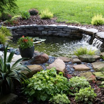 OLYMPUS DIGITAL CAMERA Как выбрать место для размещения пруда на дачном участке?